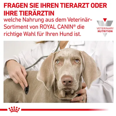 Fragen Sie Ihren Tierarzt oder Ihre Tierärztin, welche Nahrung aus dem Veterinär-Sortiment von Royal Canin die richtige Wahl für Ihren Hund ist. Veterinary Nutrition Logo sichtbar.