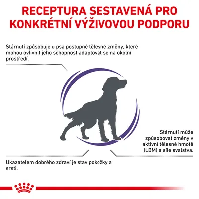 Receptura sestavená pro konkrétní výživovou podporu. Stárnutí způsobuje tělesné změny u psa, ovlivňuje adaptaci, stav pokožky a srsti, aktivní tělesnou hmotu a sílu svalstva.