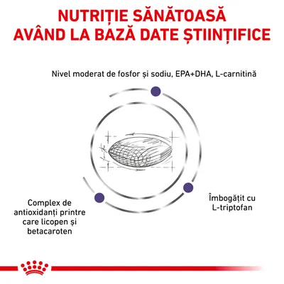 Nutriție sănătoasă având la bază date științifice. Nivel moderat de fosfor și sodiu, EPA+DHA, L-carnitină, complex de antioxidanți cu licopen și betacaroten, îmbogățit cu L-triptofan.