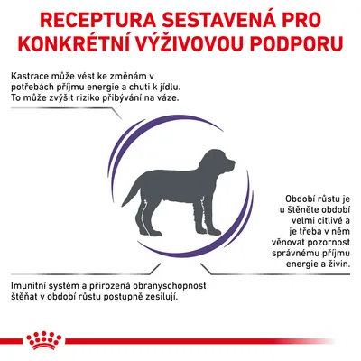 Receptura sestavená pro konkrétní výživovou podporu. Text: Kastrace může vést ke změnám v příjmu energie, období růstu je citlivé, imunitní systém štěňat se posiluje.
