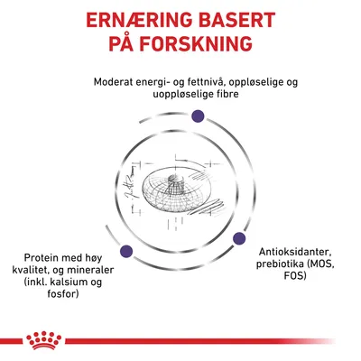 Royal Canin Expert Neutered Junior Medium Medium Hund