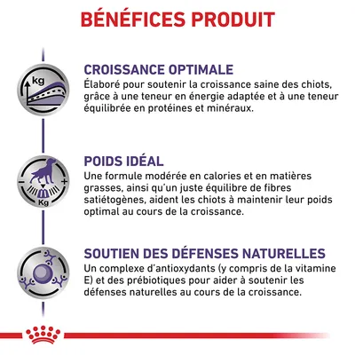 BÉNÉFICES PRODUIT : croissance optimale, poids idéal, soutien des défenses naturelles. Texte détaillé sur l’énergie, protéines, fibres, antioxydants et prébiotiques pour chiots.