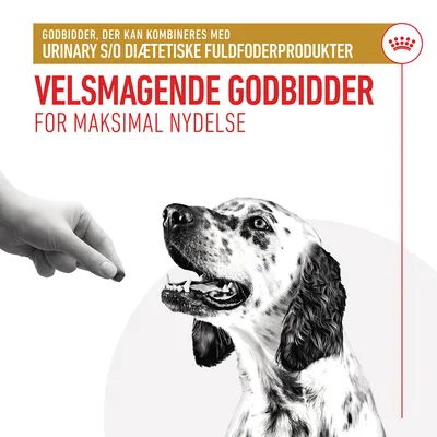 VELSMAGENDE GODBIDDER FOR MAKSIMAL NYDELSE. Godbidder, der kan kombineres med URINARY S/O diætetiske fuldfoderprodukter. Hånd giver godbid til dalmatiner-lignende hund.