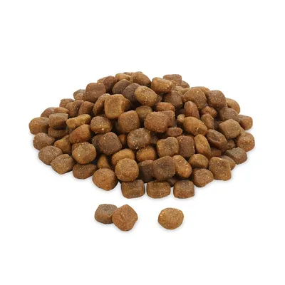 Rocco Mealtime - Lam