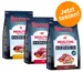3 x 1 kg Rocco Mealtime - gemischtes Probierpaket