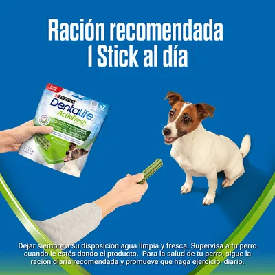 Ración recomendada: 1 stick al día. Persona ofrece un stick Dentalife ActivFresh de Purina a un perro pequeño. Texto adicional sobre agua limpia y supervisión visible en la imagen.