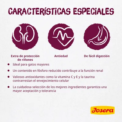 Características especiales: extra de protección de riñones, antiedad, de fácil digestión. Ideal para gatos mayores. Josera. Contenido reducido en fósforo, antioxidantes C y E, taurina.