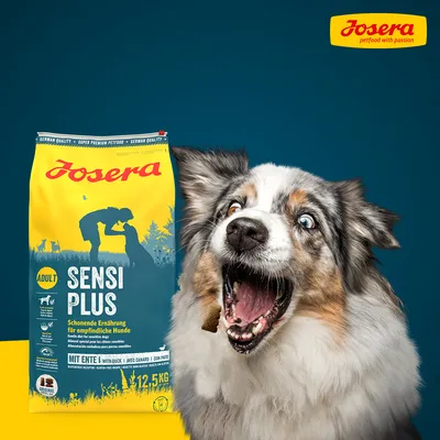Josera Sensi Plus Adult, schonende Ernährung für empfindliche Hunde, mit Ente, 12,5 kg. German Quality, Super Premium Petfood.