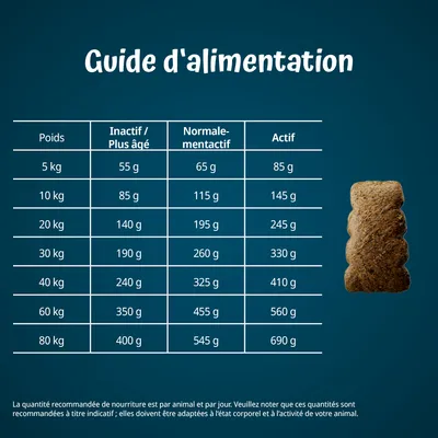 Guide d’alimentation : tableau des quantités recommandées par poids du chien (5 à 80 kg) et niveau d’activité, de 55 g à 690 g par jour. Croquette visible à droite.