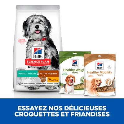 Sachets et sac Hill's Science Plan pour chien : Perfect Weight & Active Mobility, Healthy Weight Treats, Healthy Mobility Treats. Texte : Essayez nos délicieuses croquettes et friandises.