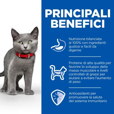 PRINCIPALI BENEFICI: Nutrizione bilanciata al 100% con ingredienti gustosi e facili da digerire, proteine di alta qualità, antiossidanti per la salute del sistema immunitario.