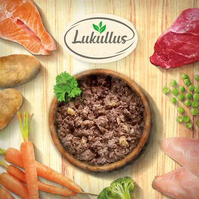 Bowl of wet pet food surrounded by visible ingredients including salmon, beef, chicken, potatoes, carrots, peas, and broccoli. Lukullus brand name shown above.