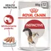 Royal Canin Instinctive umido in Mousse per gatti