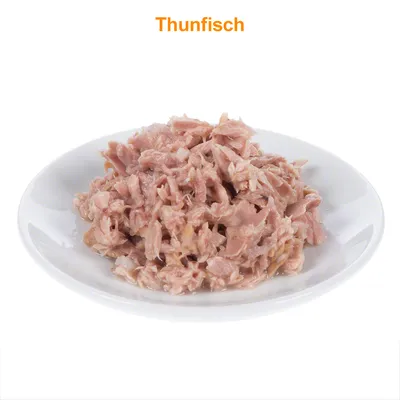 Porcija komadića tune na bijelom tanjuru, iznad je natpis 'Thunfisch' (njemački za tunu).