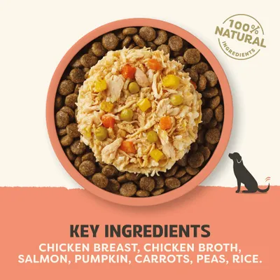 Applaws Taste Toppers Natural in Broth Saver Pack 48 x 156g - Chicken with Salmon Applaws Taste Toppers Natural in Broth Saver Pack 48 x 156g - Chicken with Salmon
