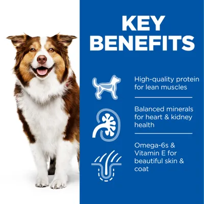 Key Benefits: High-quality protein for lean muscles, Balanced minerals for heart & kidney health, Omega-6s & Vitamin E for beautiful skin & coat. Az angol szöveg a képen szerepel.