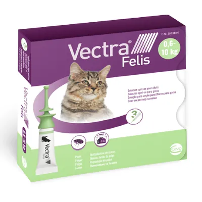 Envase de Vectra Felis para gatos de 0,6–10 kg. Incluye pipeta visible. Texto: Solución spot-on para gatos. Marca Ceva. Iconos de pulgas y casa. Imagen de un gato en la caja.