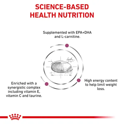 SCIENCE-BASED HEALTH NUTRITION. Supplemented with EPA+DHA and L-carnitine. Enriched with a synergistic complex including vitamin E, vitamin C and taurine. High energy content to help limit weight loss.