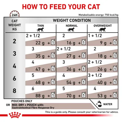 Feeding guide table showing daily pouch and dry food amounts for cats by weight and condition: thin, normal, overweight. Includes mixing instructions and reminder to provide water.