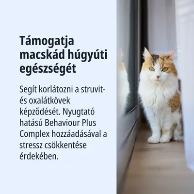 Támogatja macskája húgyúti egészségét. Segít korlátozni a struvit- és oxalátkövek kialakulását. Nyugtató Behaviour Plus Complex-szel a stressz csökkentéséért. Támogatja macskája húgyúti egészségét. Segít korlátozni a struvit- és oxalátkövek kialakulását. Nyugtató Behaviour Plus Complex-szel a stressz csökkentéséért.