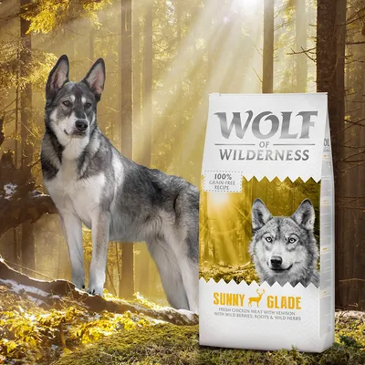 Sac Wolf of Wilderness Sunny Glade, 100% grain-free recipe, avec un loup gris à côté. Texte visible : fresh chicken meat with venison, wild berries, roots & wild herbs.