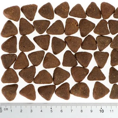 Kolmionmuotoisia ruskeita kuivaruokanappuloita viivaimen vieressä, mitta-asteikko 0–11 cm näyttää nappuloiden koon.