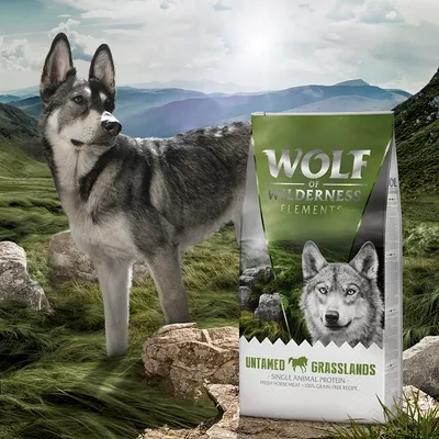 Wolf of Wilderness Elements Untamed Grasslands. Μονοπρωτεϊνική πηγή ζωικής πρωτεΐνης, φρέσκο κρέας αλόγου, 100% χωρίς δημητριακά σύνθεση.