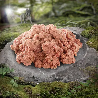 Fresh, raw meat on a stone in a natural forest setting. Background shows a wolf and sunlight through trees.