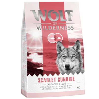 Упаковка корма Wolf of Wilderness Scarlet Sunrise, беззерновой рецепт, 1 кг. Видны надписи: 'GRAIN-FREE RECIPE', 'LOTS OF FRESH PORK WITH SALMON & TUNA, WILD BERRIES, ROOTS AND WILD HERBS'.