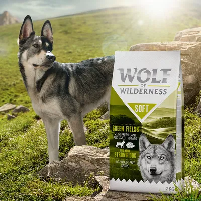 Wolf of Wilderness Soft Green Fields koiranruokapakkaus, teksti: with fresh lamb and sweet potato, for your strong dog, 100% grain-free recipe, 12 kg. Taustalla koira ulkona.
