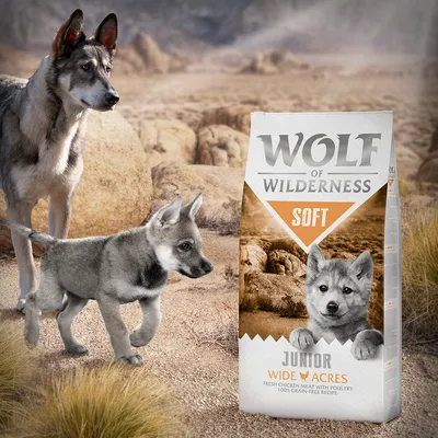Συσκευασία Wolf of Wilderness Soft Junior Wide Acres με ορατό κείμενο: Fresh chicken meat with poultry, 100% grain-free recipe. Εικόνα λύκου και κουταβιού δίπλα στη συσκευασία.