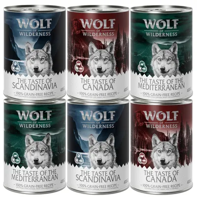 Lot de 6 boîtes Wolf of Wilderness 400 g : The Taste of Scandinavia, Canada et Mediterranean, recette sans céréales, noms visibles sur chaque boîte.