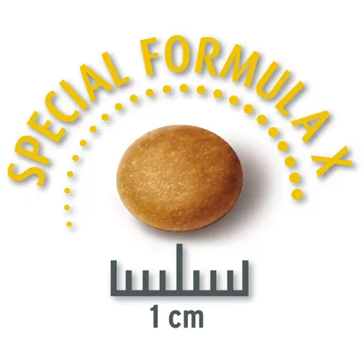 Crocchetta con diametro di 1 cm, testo: Special Formula X.