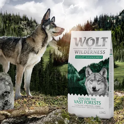 Sac de croquettes Wolf of Wilderness Weight Management, texte visible : Explore the Vast Forests, low fat, protein, fibre, fresh chicken meat, 100% grain-free recipe, 12 kg.