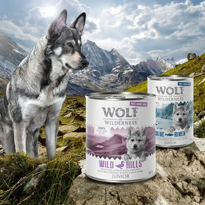 Wolf of Wilderness Junior wet food: Wild Hills with duck and veal, Blue River with chicken. Grain-free, fresh meat, herbs and berries. Packaging shows mountain landscape.