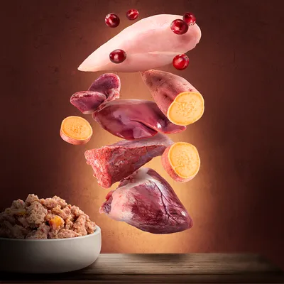 Ingredienti visibili: petto di pollo, patate dolci a fette, fegato, cuore, carne rossa, mirtilli rossi e ciotola con cibo umido per animali.
