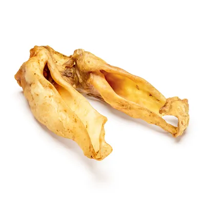 To tørrede okseører, naturlige og gyldenbrune, som tyggeprodukt til kæledyr.