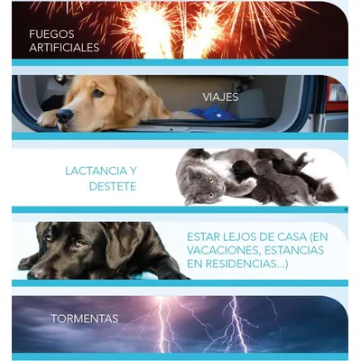 Fuegos artificiales, viajes, lactancia y destete, estar lejos de casa (en vacaciones, estancias en residencias), tormentas. Texto acompañado de imágenes de perros, gatos y fuegos artificiales.