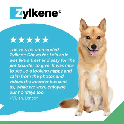 Zylkene Calming Chews for Medium Dogs 10 - 30 kg - 14 Chews Zylkene Calming Chews for Medium Dogs 10 - 30 kg - 14 Chews