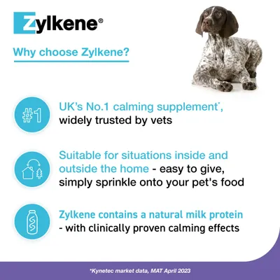 Zylkene Calming Supplement for Large Dogs 15 - 60 kg - 20 Capsules
