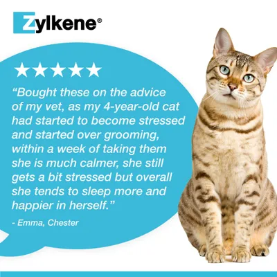 Zylkene Calming Supplement for Cats or Small Dogs <10kg - 20 Capsules