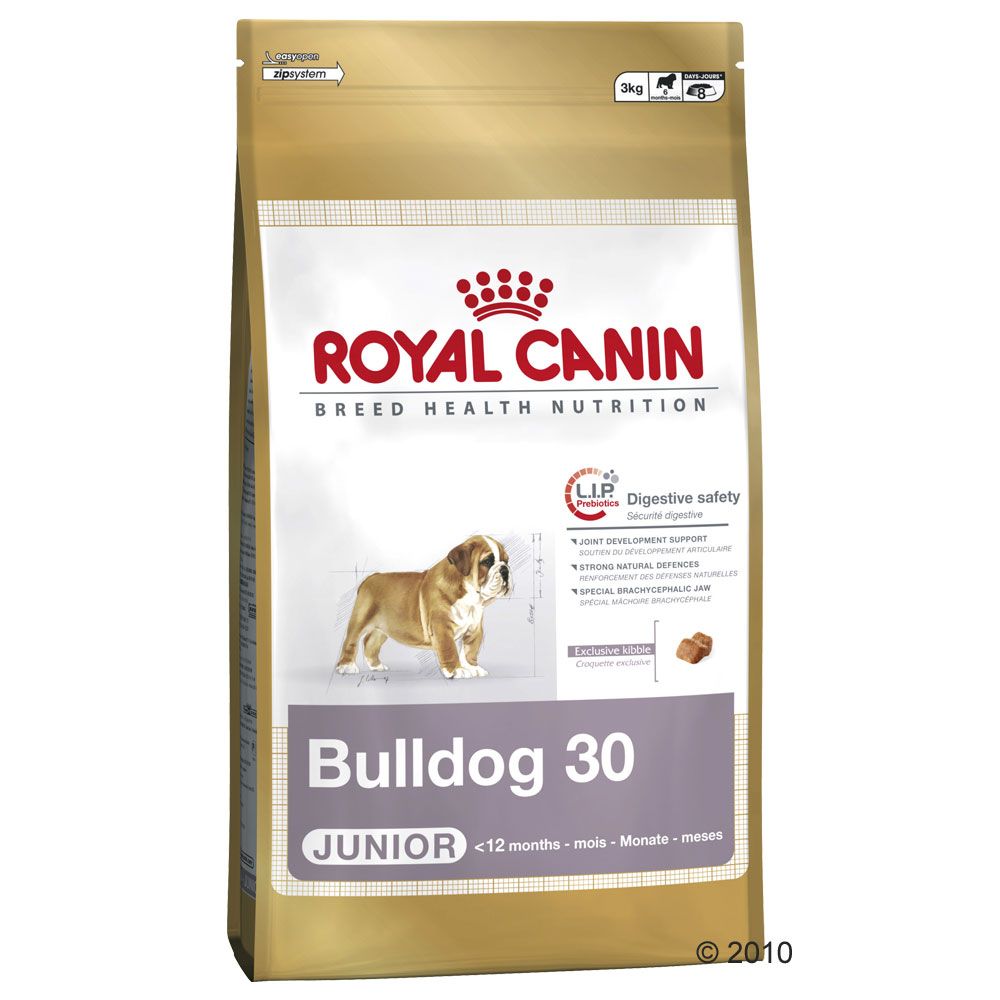 The growing bulldog needs a food that will meet its special nutritional requirements in the crucial growth phase The growing bulldog needs a food that will meet its special nutritional requirements in the crucial growth phase