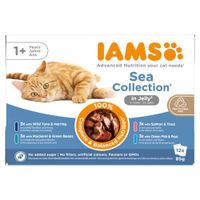 IAMS Advanced Nutrition Adult Sea Mix