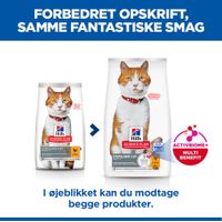 Tørfoder til katte | Køb hos zooplus.dk