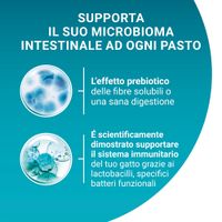 Supporta il suo microbioma intestinale ad ogni pasto. L’effetto prebiotico delle fibre solubili o una sana digestione. È scientificamente dimostrato supportare il sistema immunitario.