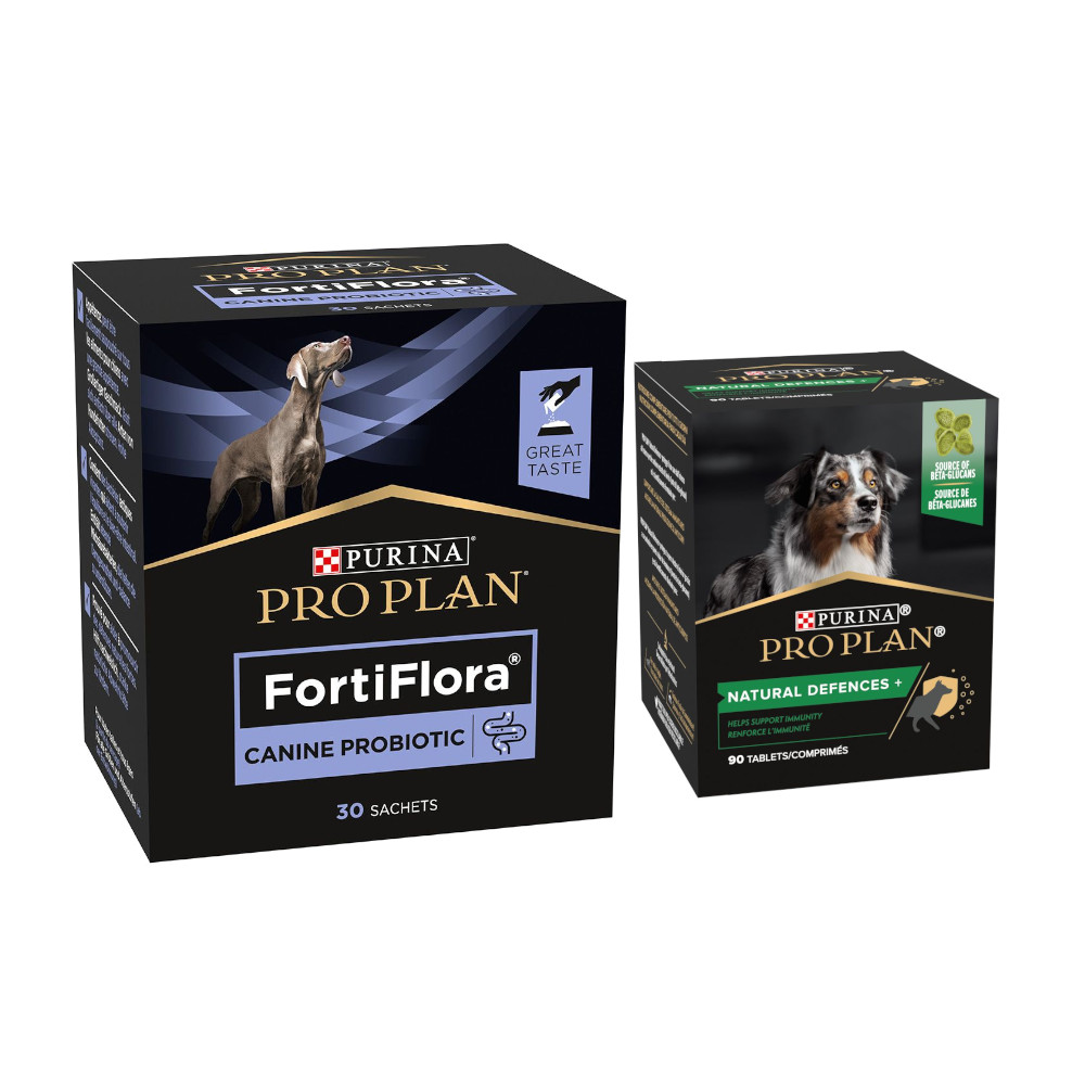 

Purina Pro Plan FortiFlora Canine Probiotic + Suplemento grátis! - FortiFlora (30 g) + Natural Defences Supplement 135 g (90 uds.)