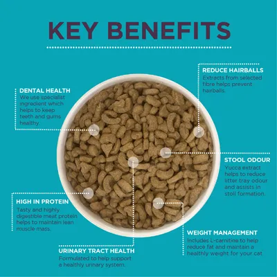 Key benefits of this food: dental health, reduce hairballs, stool odour control, high in protein, urinary tract health, and weight management. Each benefit is explained in detail.