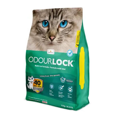 Sac de litière pour chats OdourLock, formule multi-chat, Brise apaisante, garantie sans odeur 40 jours, 12 kg. Texte visible en anglais et français sur l’emballage.