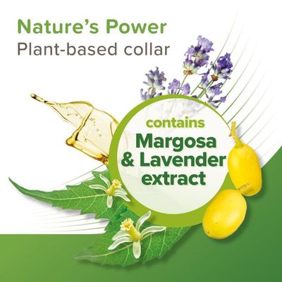Plant-based collar containing margosa and lavender extract, highlighted as Nature’s Power. Image shows natural ingredients and text describing the product’s plant-based composition.