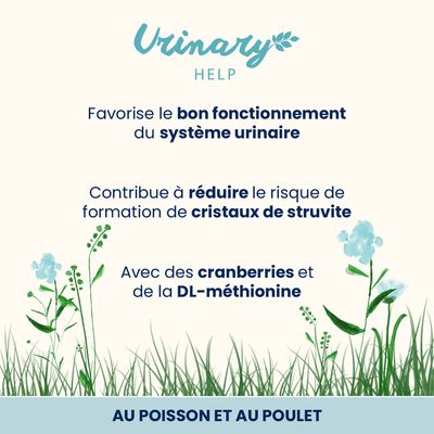 Almo Nature Holistic Urinary Help pour chat